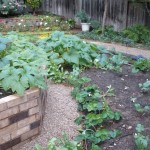 That planter needs a few more plants!!