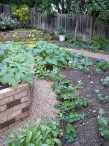 That planter needs a few more plants!!