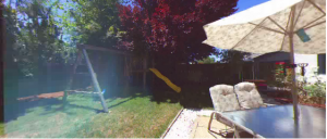 Back Yard (Before Purchase)