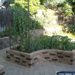 Left Planter Bed
