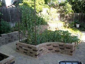 Left Planter Bed