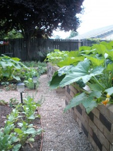 Narrow Garden Walkway